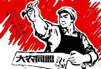 成功签约中国大农同盟商家入驻商城网站建设